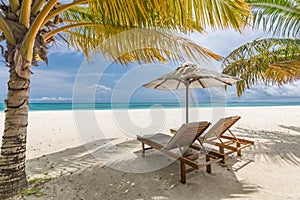 Beautiful tropical beach banner. White sand and coco palms travel tourism. Amazing beach landscape