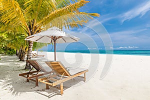 Beautiful tropical beach banner. White sand and coco palms travel tourism. Amazing beach landscape