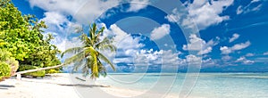 Beautiful tropical beach banner. White sand, coco palms travel tourism wide panorama background concept. Amazing beach landscape