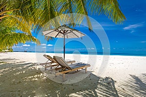 Summer holiday and vacation design. Inspirational tropical beach, palm trees and white sand blue sunny sea sky