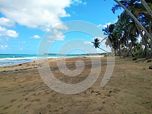 Beautiful Tropical Beach Bavaro PuntaCana Dominican Republic