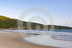 Bellissimo tropicale Spiaggia da brasile 