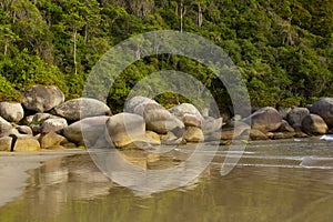 Bellissimo tropicale Spiaggia da brasile 