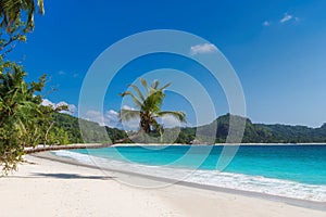 Beautiful tropical beach with coco palms and turquoise sea