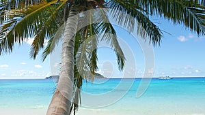 Beautiful tropical beach with a coconut palm tree