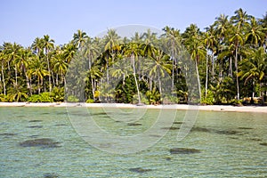 Beautiful tropical beach, coconut palm tree and clean sea water in Thailand