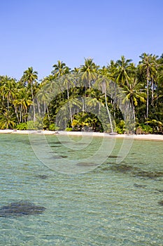 Beautiful tropical beach, coconut palm tree and clean sea water in Thailand