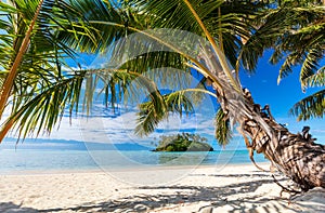 Beautiful tropical beach at exotic island in Pacific