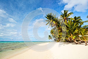 Beautiful tropical beach at exotic island in Pacific