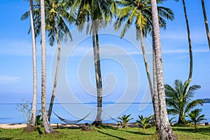 Beautiful tropical beach in island Koh Kood , Thailand