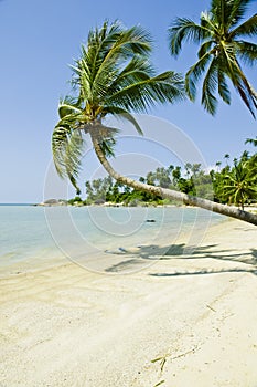 Beautiful tropical beach, Ko Pha Ngan