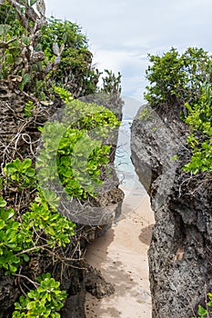 Beautiful tropical beach with lush vegetation