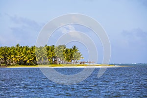 Beautiful tropical beach, palm tree and sea water in island Mauritius