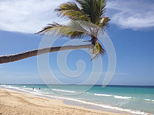 Beautiful tropical beach, palm trees, sea - Paradise
