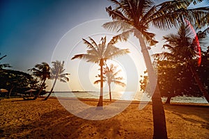 Beautiful tropical beach with palm trees. Sunrises and sunsets. Ocean.