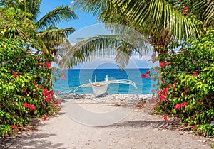 A beautiful tropical beach scene on Mindoro Island in the Philippines. photo