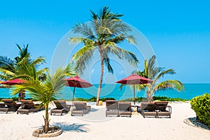 Beautiful tropical beach sea ocean with umbrella and chair around coconut palm tree on blue sky