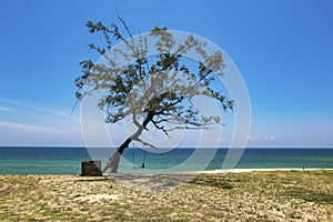 Beautiful tropical beach, soft wave hitting sandy beach under brighr sunny day