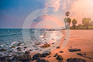 Beautiful tropical beach with sugar palm tree at sunset in Thailand. Vintage tone