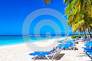 Beautiful tropical beach with sun loungers and palms. Saona Island, Dominican Republic. Caribbean resort. Vacation travel