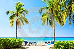 Beautiful tropical beach with sun loungers and palms. Saona Island, Dominican Republic. Caribbean resort. Vacation travel