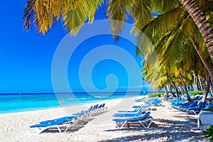 Beautiful tropical beach with sun loungers and palms. Saona Island, Dominican Republic. Caribbean resort. Vacation travel