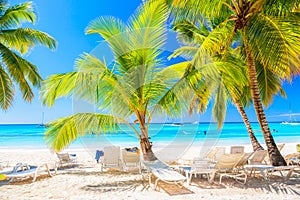 Beautiful tropical beach with sun loungers and palms. Saona Island, Dominican Republic. Caribbean resort. Vacation travel
