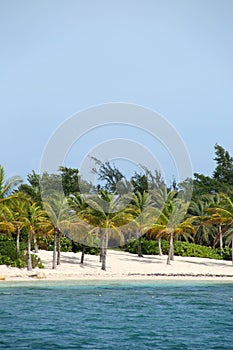 Beautiful tropical beach with turquiose sea & white sand on Green Island, Antigua, Caribbean. Vertical with copy space