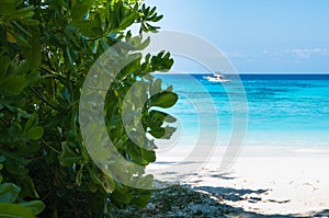 Beautiful tropical beach, white sand and blue sky background.