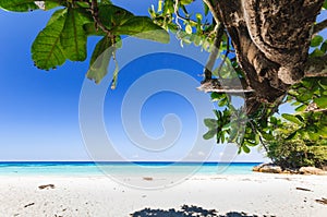 Beautiful tropical beach, white sand, blue sky background and L