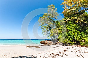 Beautiful tropical beach, white sand and blue sky background.