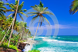 Beautiful tropical beaches of Sri Lanka