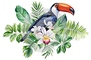 Beautiful tropical bird watercolor illustration hand drawing. Toucan, flowers and palm leaf in isolated white background