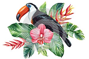 Beautiful tropical bird watercolor illustration hand drawing. Toucan, flowers and palm leaf in isolated white background