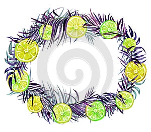 Beautiful tropical border. Vivid yellow and green lemon slices and purple exotic palm leaves isolated on white background.