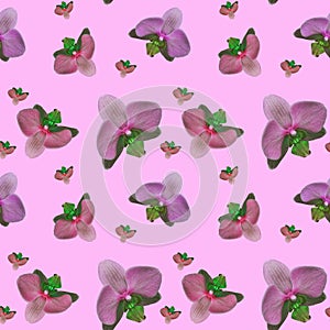 Beautiful tropical bright background. Seamless branches pattern orchids. Repeating texture with floral branches and pink flowers