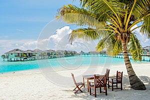 Beautiful tropical dining place under the palm tree at the beach