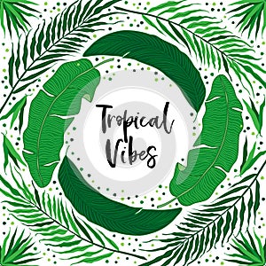 Beautiful tropical green palm leaves botanicals foliage background