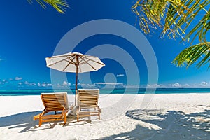 Beautiful tropical island scenery, two sun beds, loungers, umbrella under palm tree. White sand, sea view with horizon