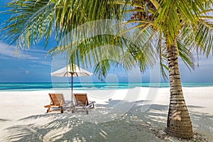 Beautiful tropical island scenery, two sun beds, loungers, umbrella under palm tree. White sand, sea view with horizon, idyllic bl