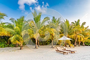 Beautiful tropical island scenery, two sun beds, loungers, umbrella under palm tree. White sand, sea view with horizon, idyllic bl