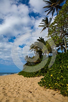 Beautiful tropical Kaanapali Beach in Maui Hawaii