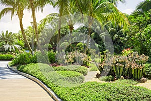 Beautiful tropical landscape, decorated with Cactuses, light brown pebble, green and red leafs ground cover plant and shrubs in