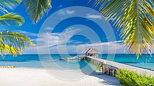 Beautiful tropical landscape. Maldives island beach and palm trees. Perfect tropical banner