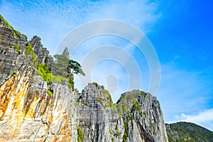 Beautiful tropical landscape of the Maya Bay in the Phi Phi Islands in Thailand