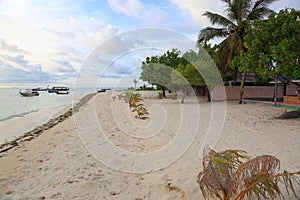 Beautiful tropical landscape. White sand beach and green plants on blue sky with white clouds background. Indian Ocean.