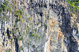 Rock cliff wall texture limestone islands Koh Phi Phi Thailand