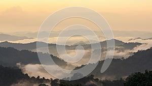 Beautiful tropical mountain mist in rain forest.