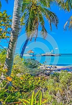 Beautiful tropical natural palm tree boat jetty Contoy island Mexico