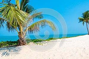 Beautiful tropical nature of beach sea ocean bay around coconut palm tree